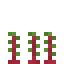 Beetroot 4