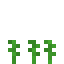 Carrot 3