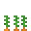 Carrot 4