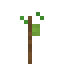 Cocoa 1