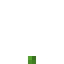 Melon 1