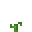 Melon 2