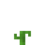 Melon 3