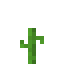 Melon 5