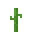Melon 7