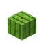 Melon 8