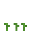 Potato 2