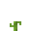 Pumpkin 3