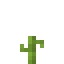 Pumpkin 4