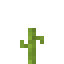 Pumpkin 5