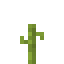 Pumpkin 6
