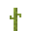Pumpkin 7