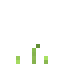 Sugar Cane 1