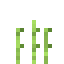 Sugar Cane 3