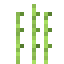 Sugar Cane 4