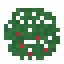 Sweet Berries 4